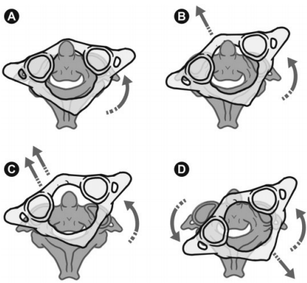 La Ciencia Repositorio